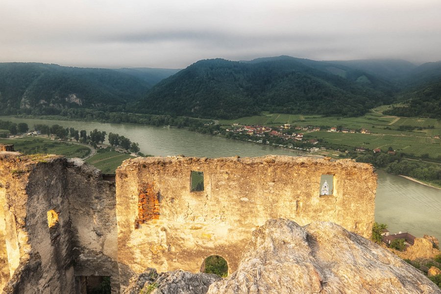 Wachau und die Hunde von Kuenring 28