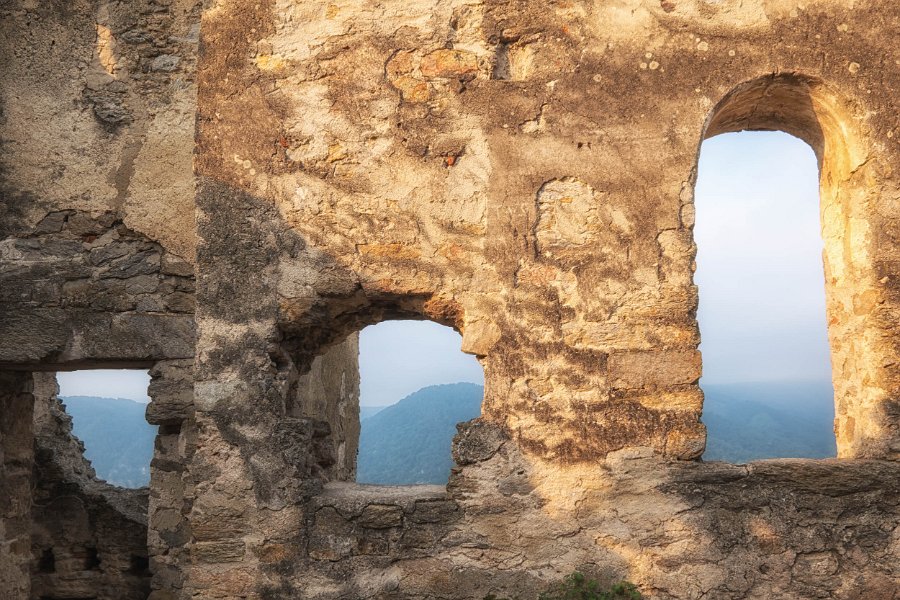 Wachau und die Hunde von Kuenring 29
