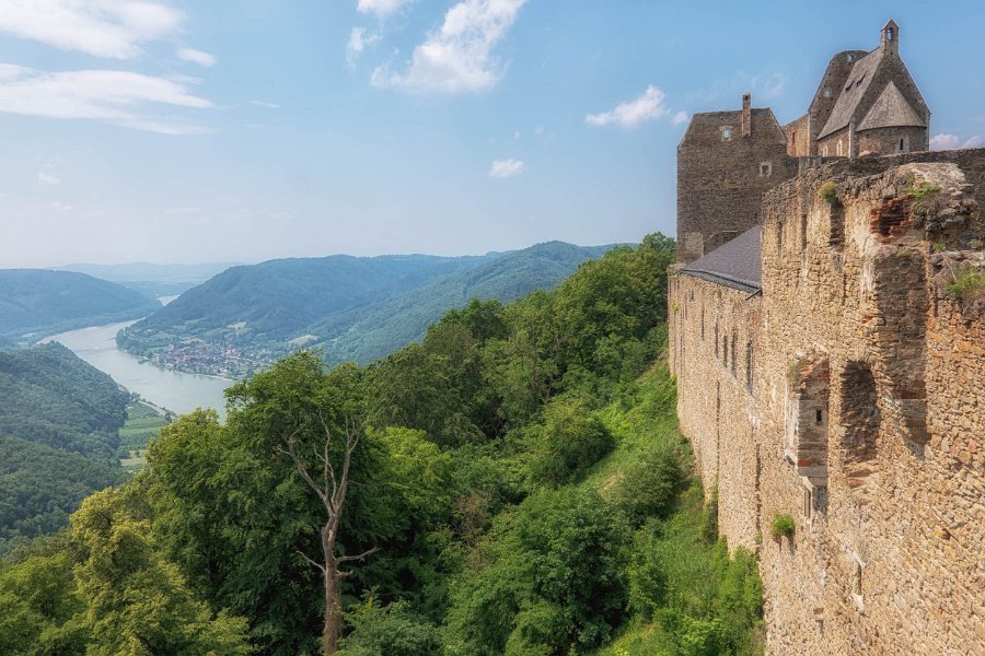Wachau und die Hunde von Kuenring 3