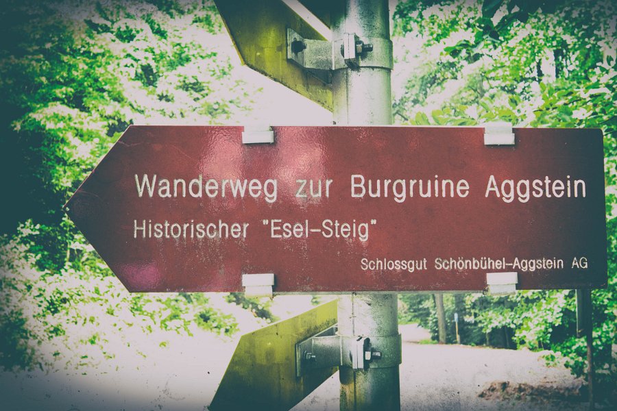 Wachau und die Hunde von Kuenring 4
