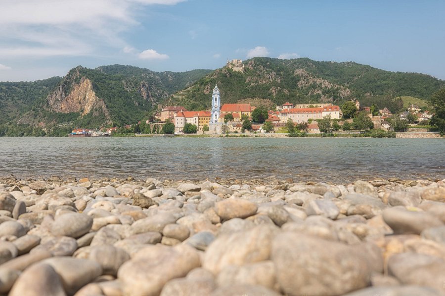 Wachau und die Hunde von Kuenring 8