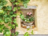 Wachau und die Hunde von Kuenring 18