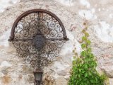 Wachau und die Hunde von Kuenring 19