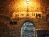 Wachau und die Hunde von Kuenring 21