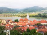 Wachau und die Hunde von Kuenring 23