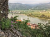 Wachau und die Hunde von Kuenring 24