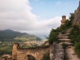 Wachau und die Hunde von Kuenring 26