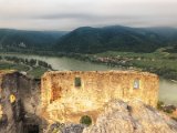 Wachau und die Hunde von Kuenring 28