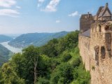 Wachau und die Hunde von Kuenring 3