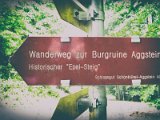 Wachau und die Hunde von Kuenring 4