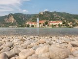 Wachau und die Hunde von Kuenring 8